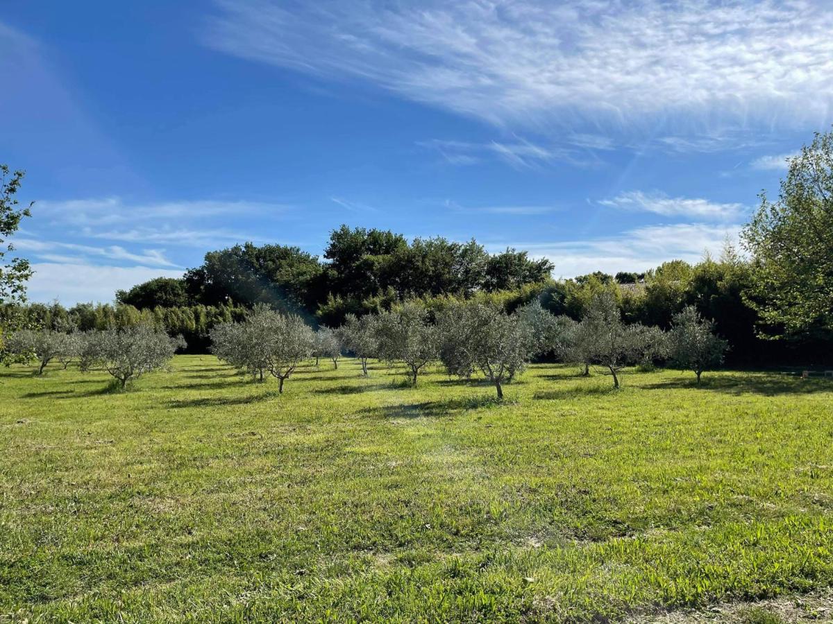 Appartement De Charme Sud Luberon Classe 4 Etoiles Puyvert Eksteriør billede